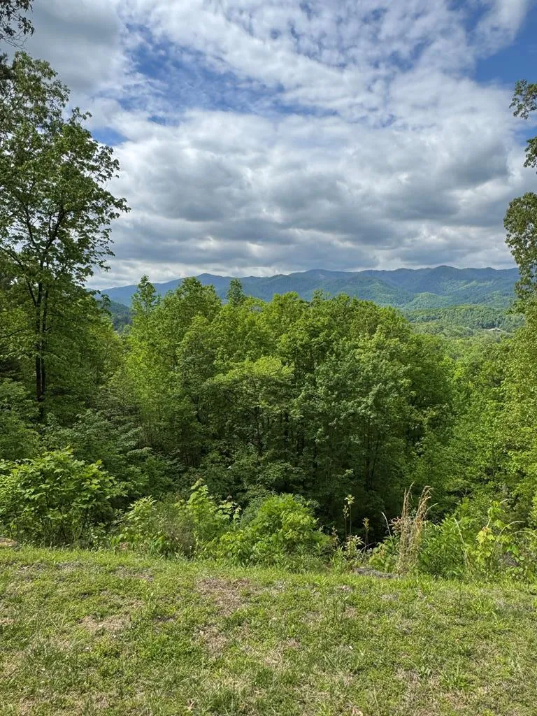 Trading Post Place Whittier, NC 28789