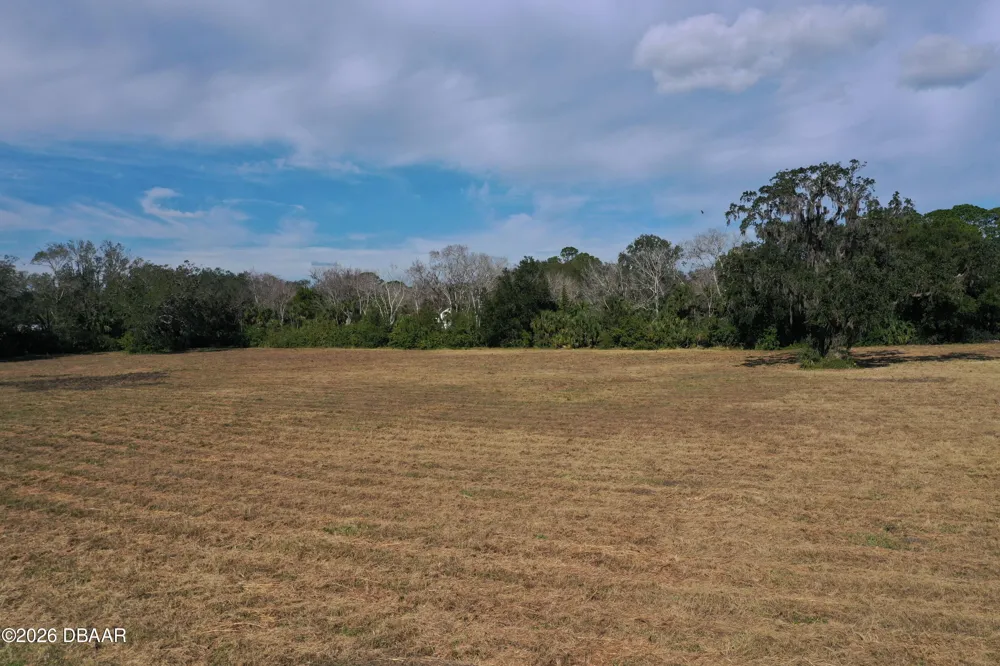 4558 S Ridgewood Avenue Edgewater, FL 32141