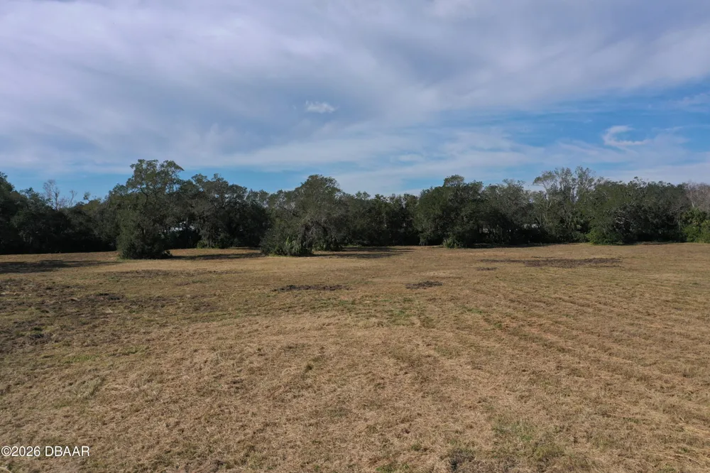 4558 S Ridgewood Avenue Edgewater, FL 32141