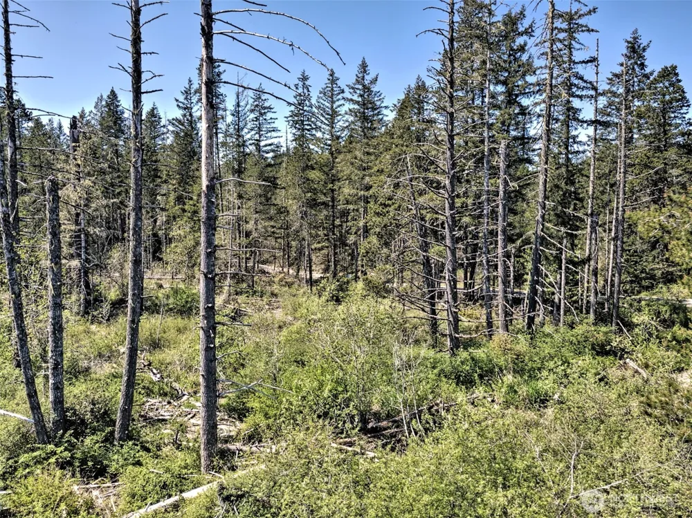 1161 NE Toonerville Drive Belfair, WA 98528