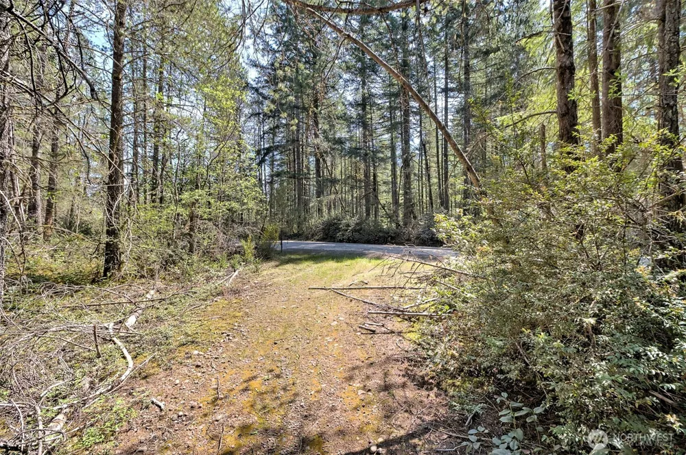 1161 NE Toonerville Drive Belfair, WA 98528