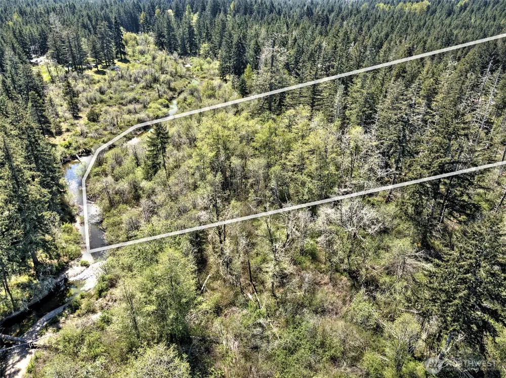 1161 NE Toonerville Drive Belfair, WA 98528