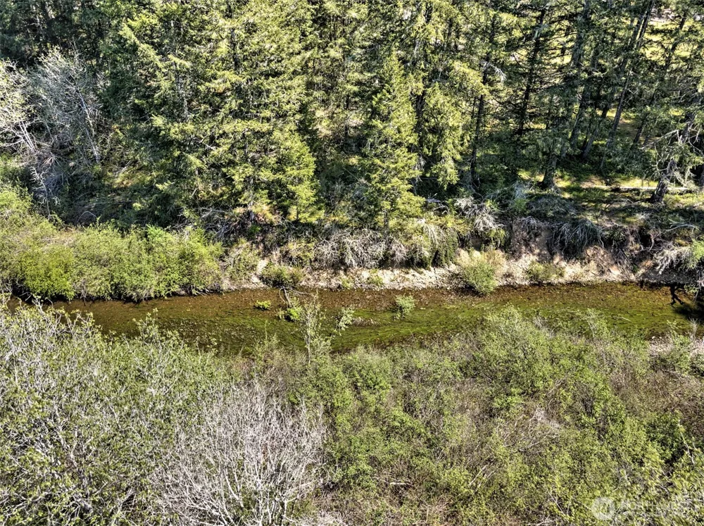 1161 NE Toonerville Drive Belfair, WA 98528