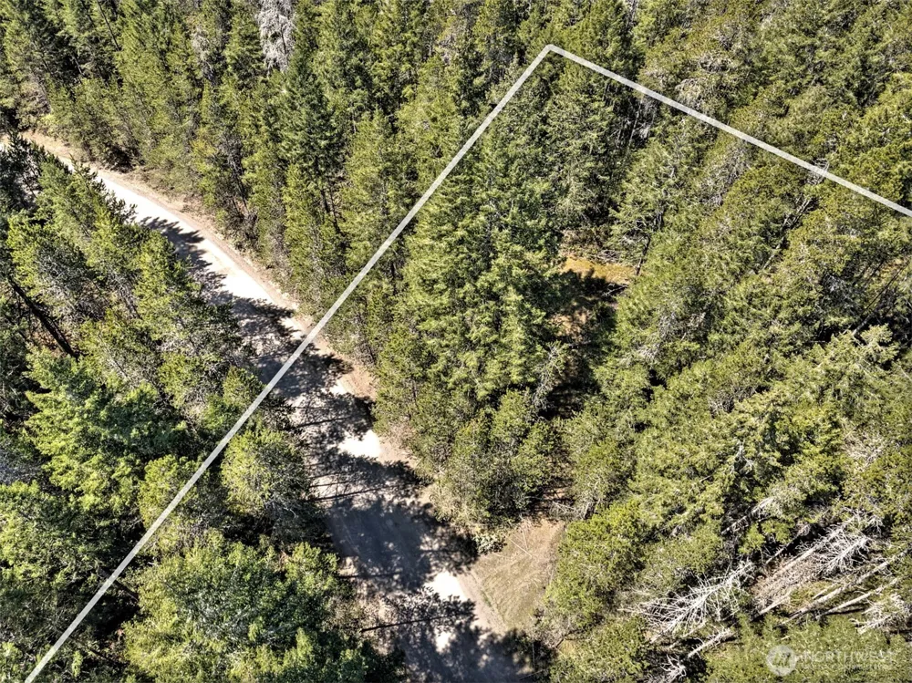 1161 NE Toonerville Drive Belfair, WA 98528
