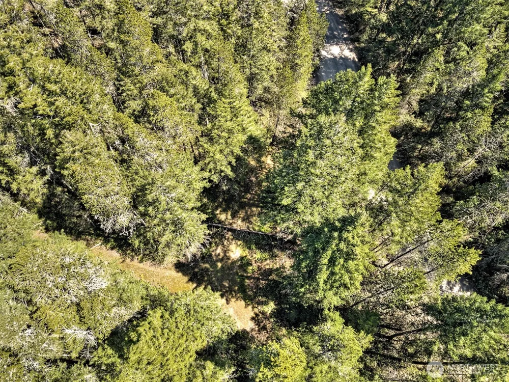 1161 NE Toonerville Drive Belfair, WA 98528