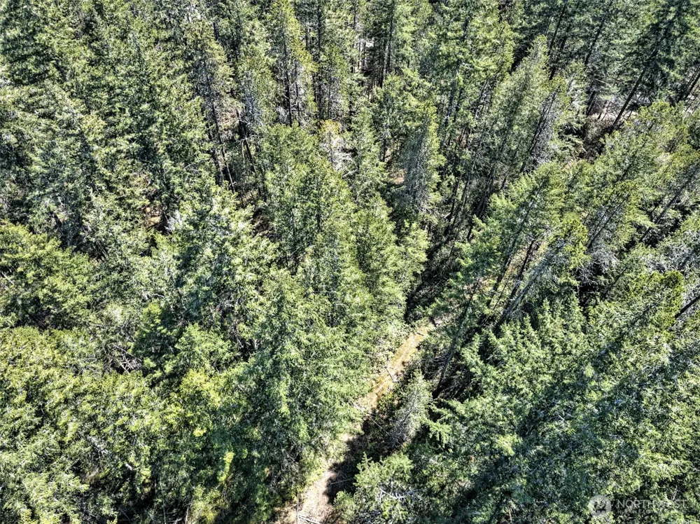1161 NE Toonerville Drive Belfair, WA 98528