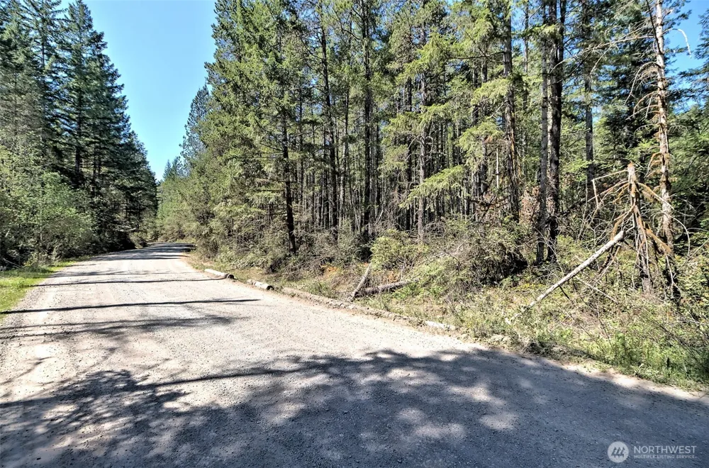 1161 NE Toonerville Drive Belfair, WA 98528