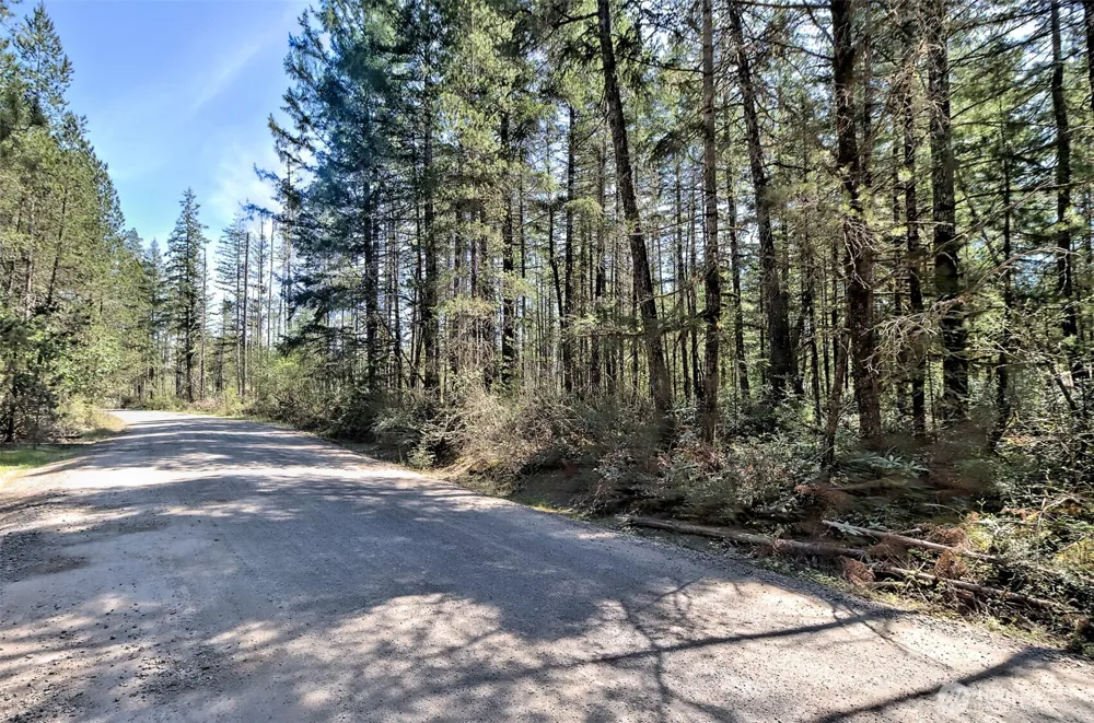 1161 NE Toonerville Drive Belfair, WA 98528