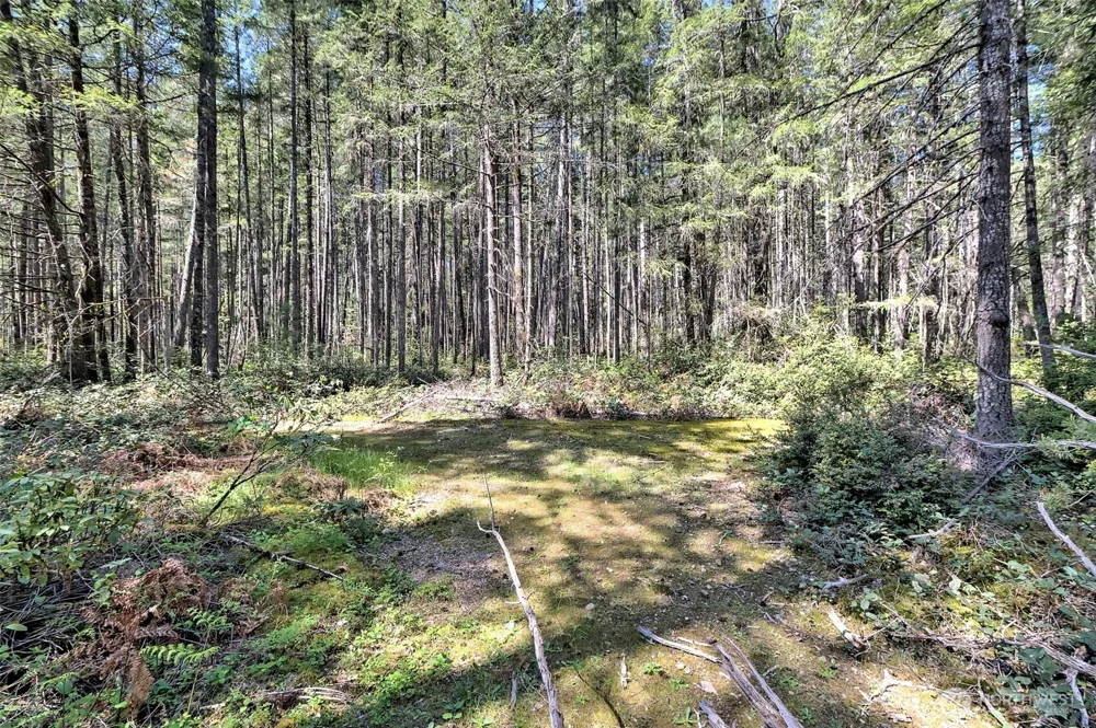 1161 NE Toonerville Drive Belfair, WA 98528