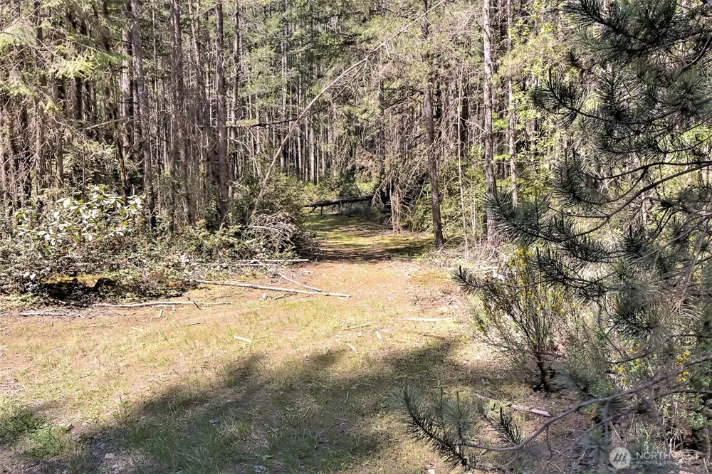 1161 NE Toonerville Drive Belfair, WA 98528