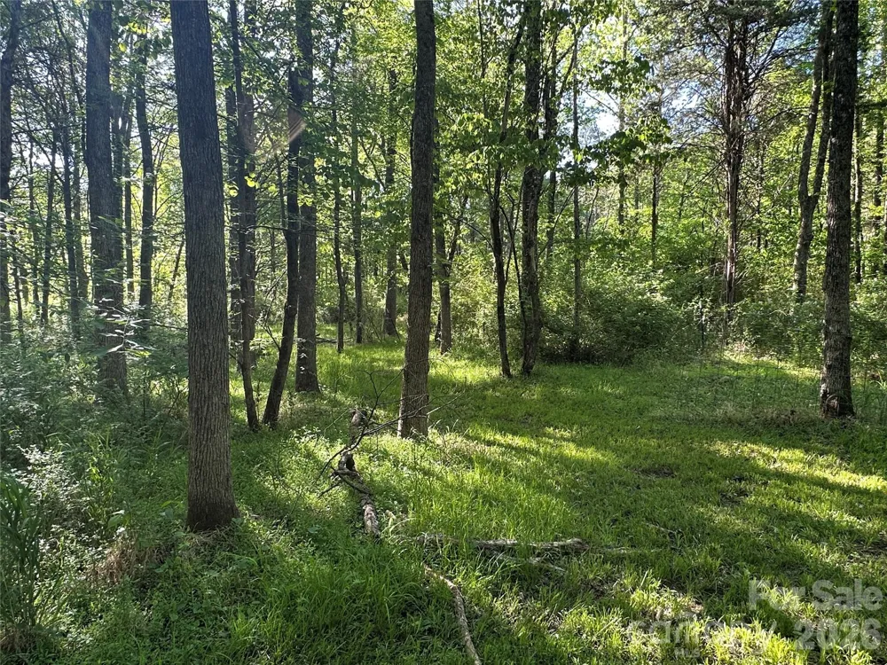 00 Bonkin Lake Road #3 Mocksville, NC 27028
