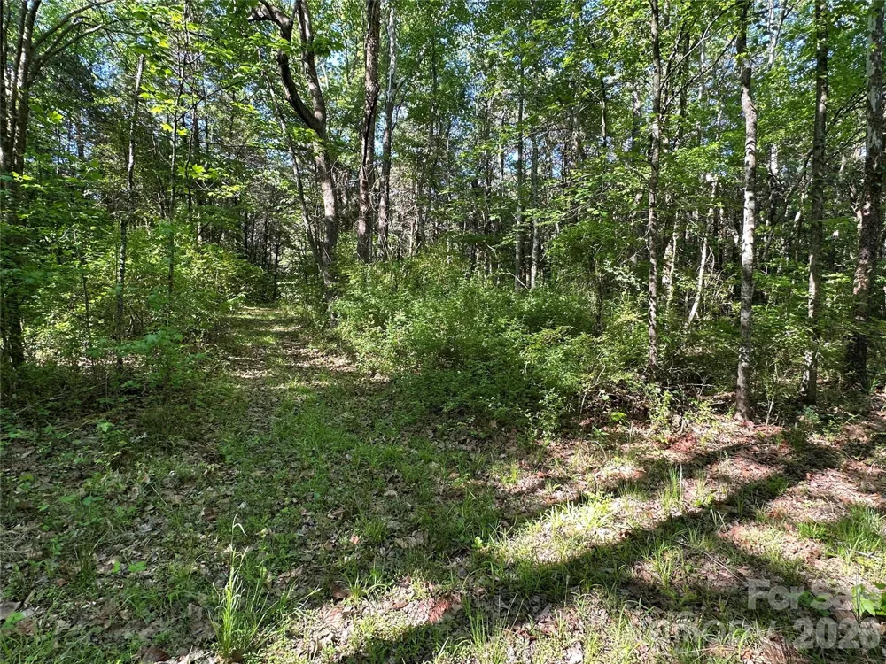 00 Bonkin Lake Road #3 Mocksville, NC 27028