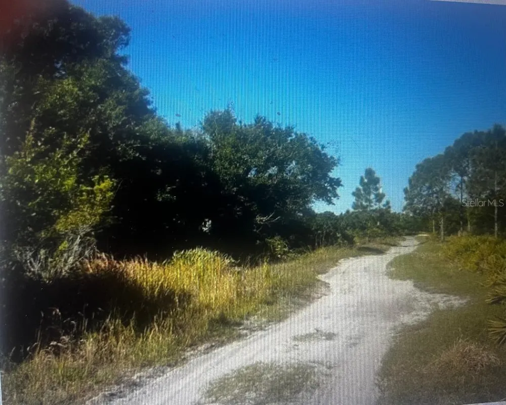 733 TARRY LANE Lorida, FL 33857