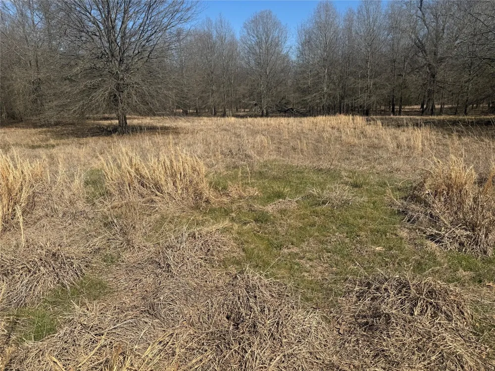 PR 44005 Blossom, TX 75416