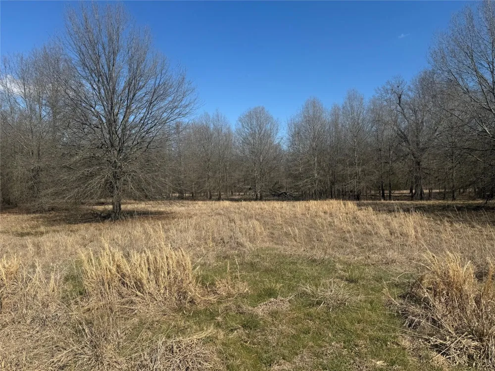 PR 44005 Blossom, TX 75416