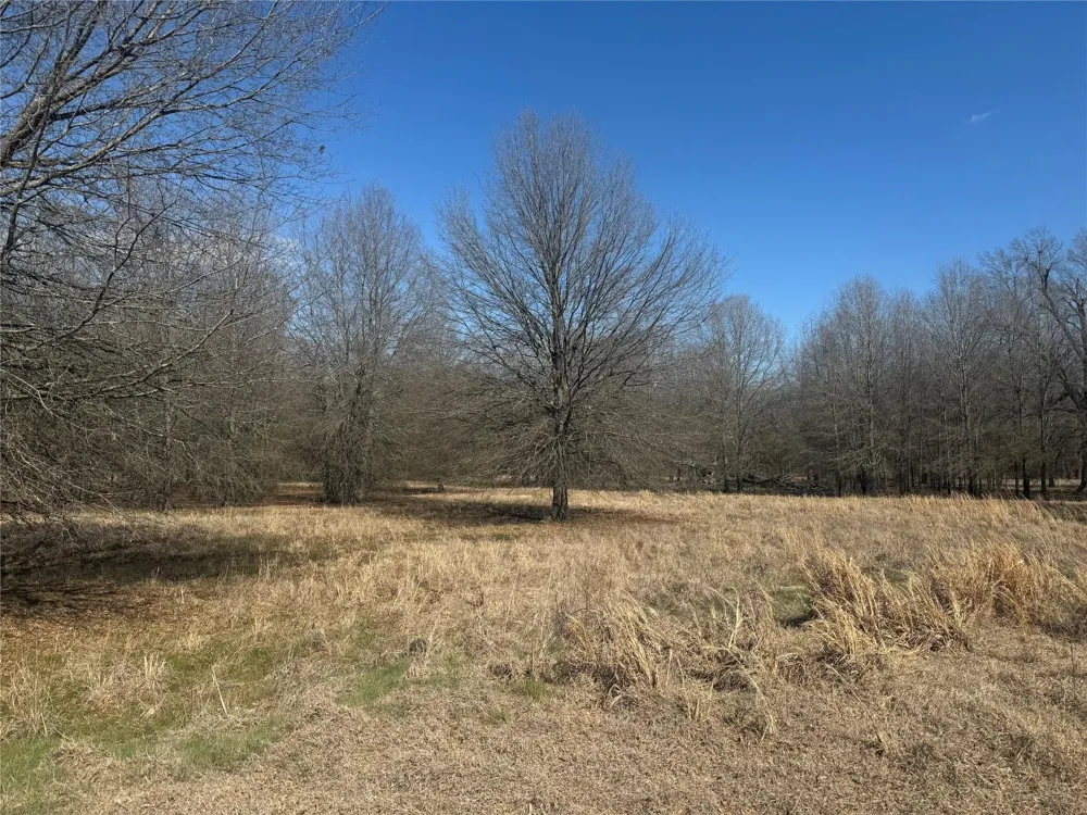 PR 44005 Blossom, TX 75416