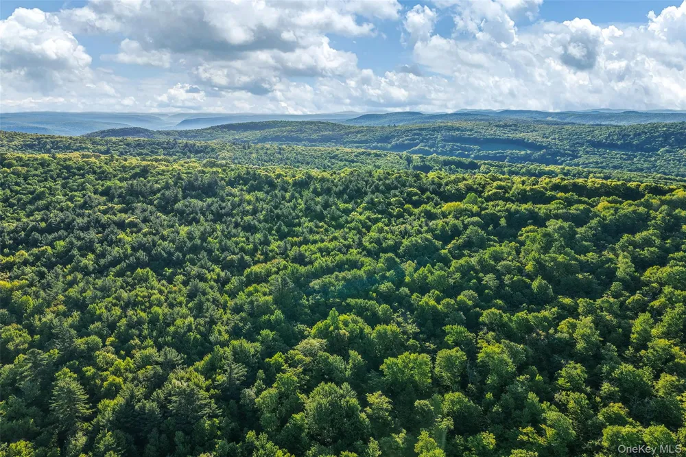 Frank Slawson Road Other, NY 13820