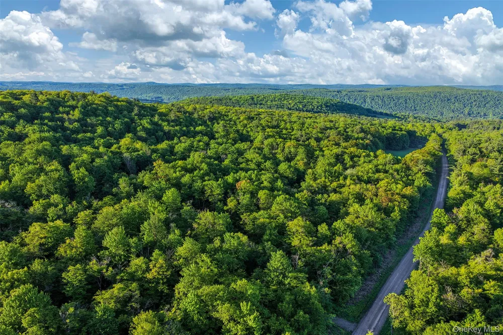 Frank Slawson Road Other, NY 13820