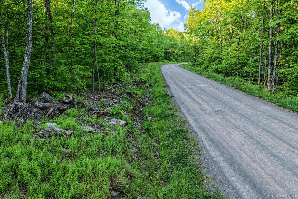 Frank Slawson Road Other, NY 13820