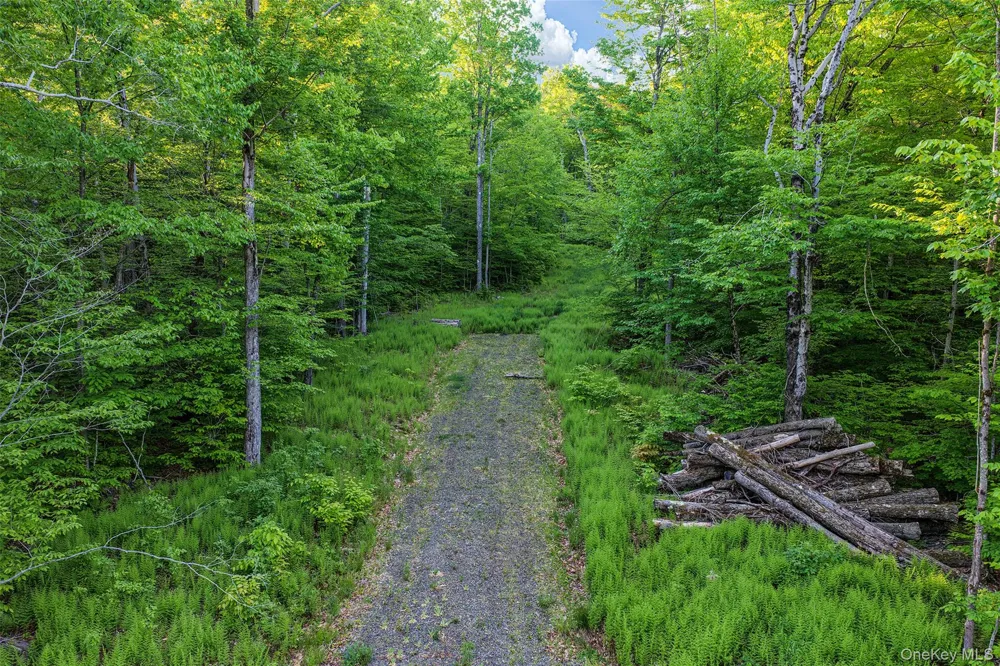 Frank Slawson Road Other, NY 13820