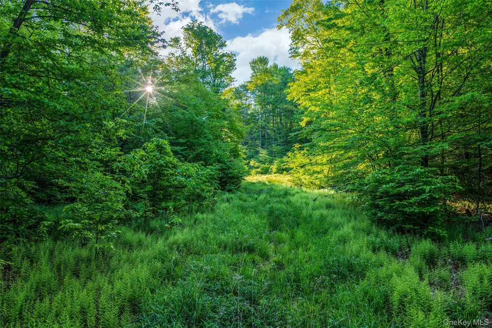 Frank Slawson Road Other, NY 13820