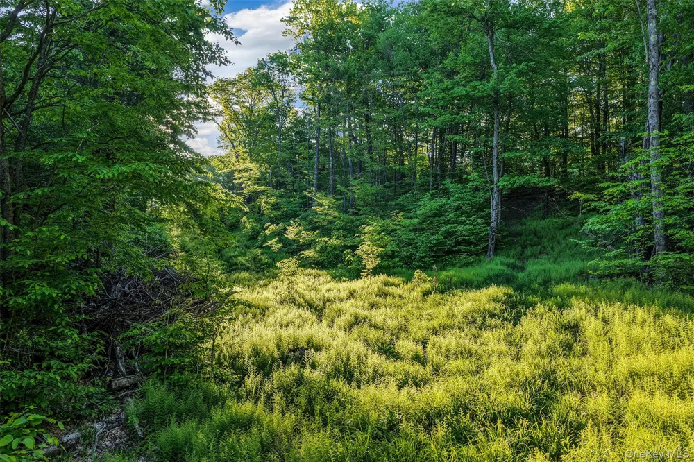 Frank Slawson Road Other, NY 13820
