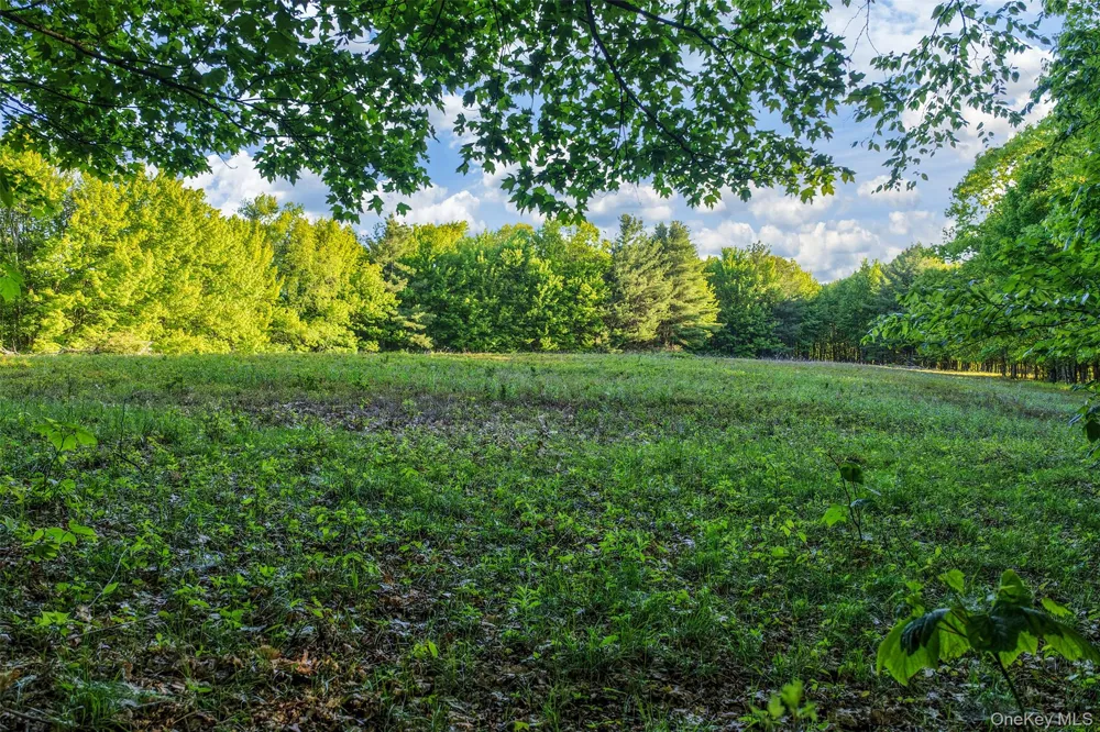 Frank Slawson Road Other, NY 13820