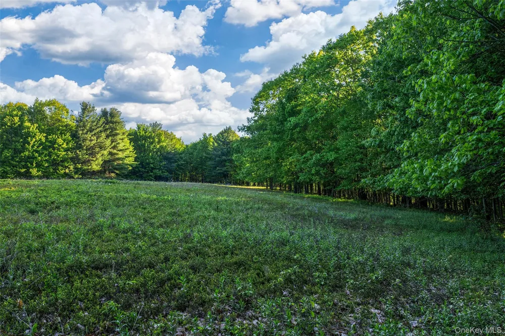 Frank Slawson Road Other, NY 13820