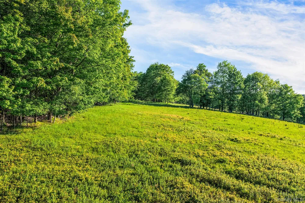 Frank Slawson Road Other, NY 13820
