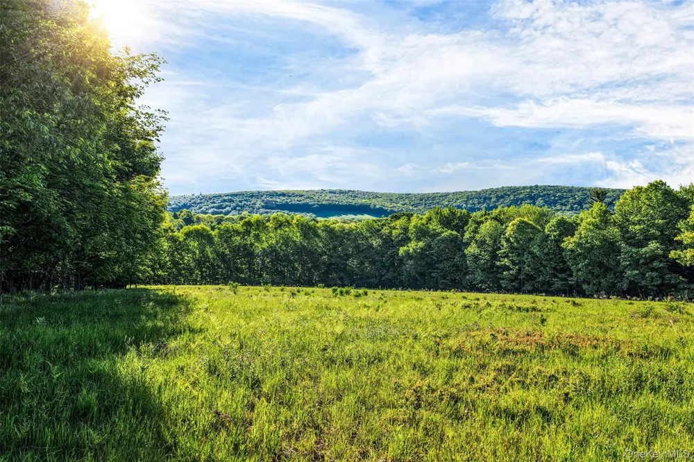 Frank Slawson Road Other, NY 13820