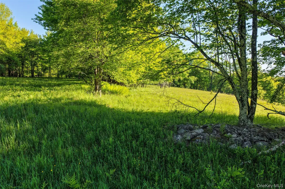 Frank Slawson Road Other, NY 13820