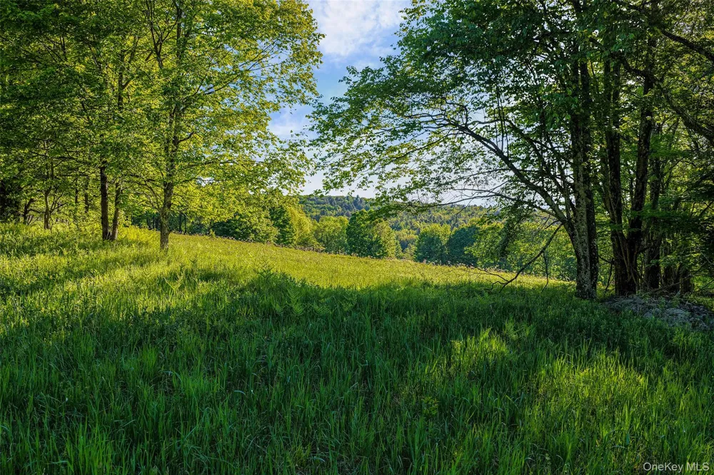 Frank Slawson Road Other, NY 13820