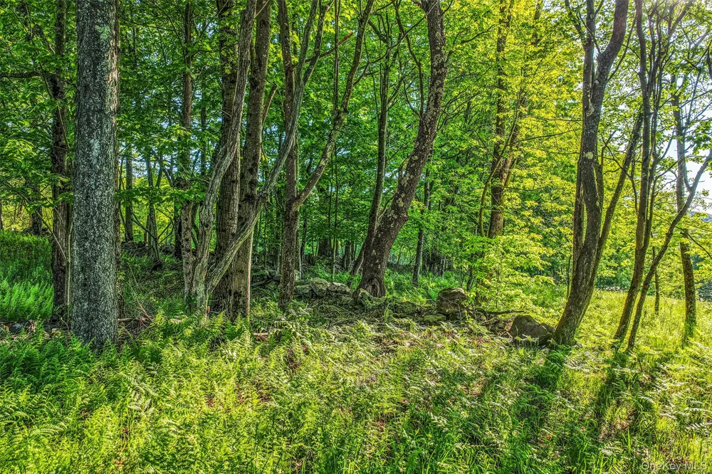 Frank Slawson Road Other, NY 13820