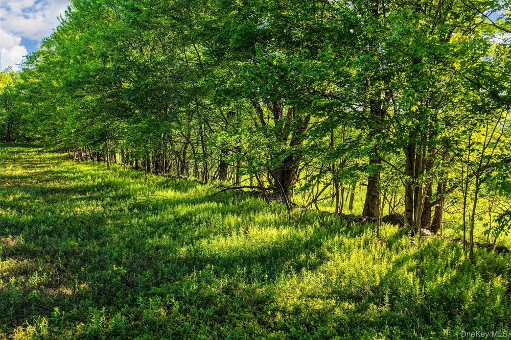 Frank Slawson Road Other, NY 13820