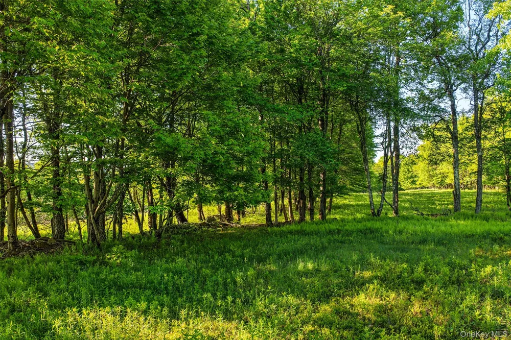 Frank Slawson Road Other, NY 13820
