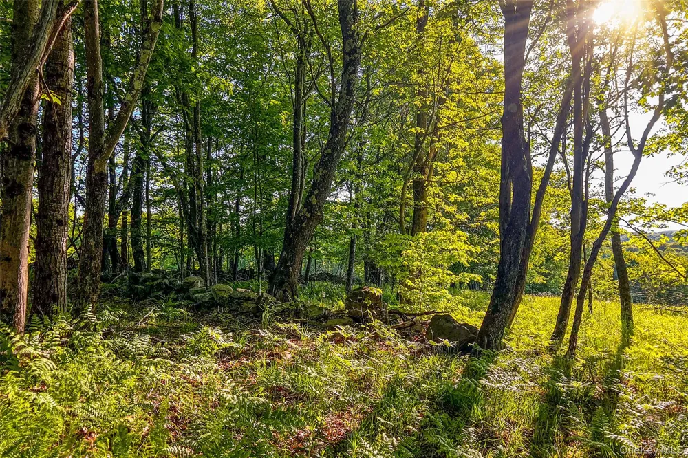 Frank Slawson Road Other, NY 13820