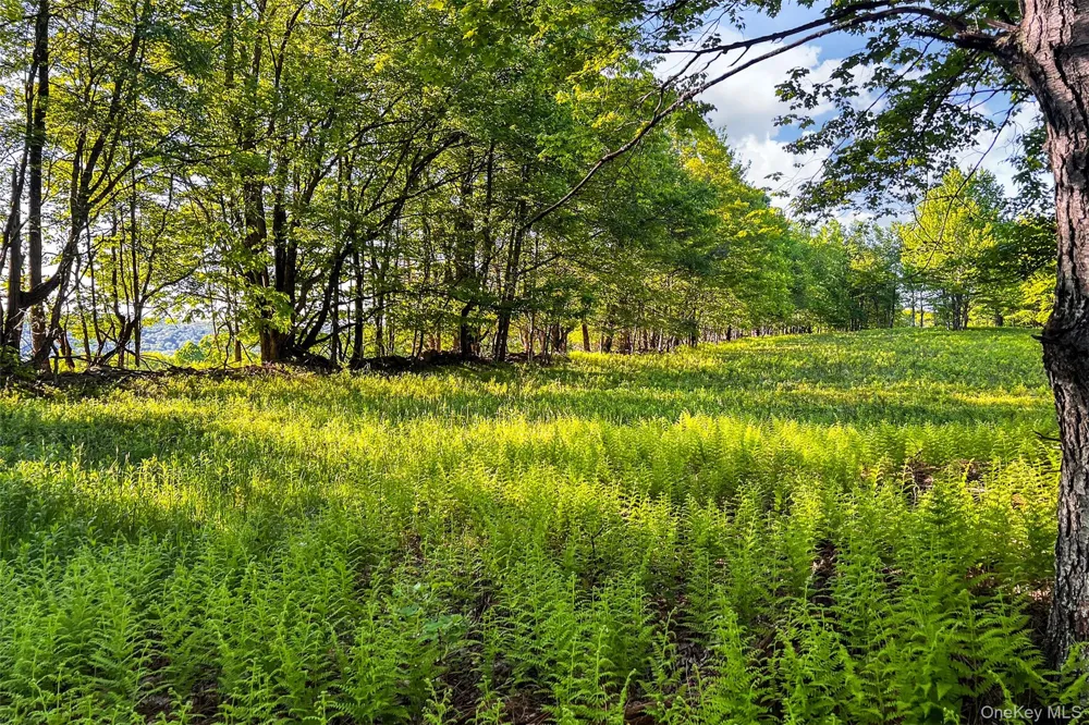 Frank Slawson Road Other, NY 13820