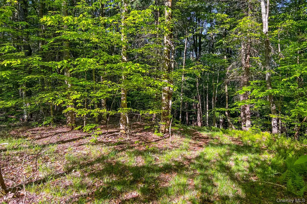 Frank Slawson Road Other, NY 13820