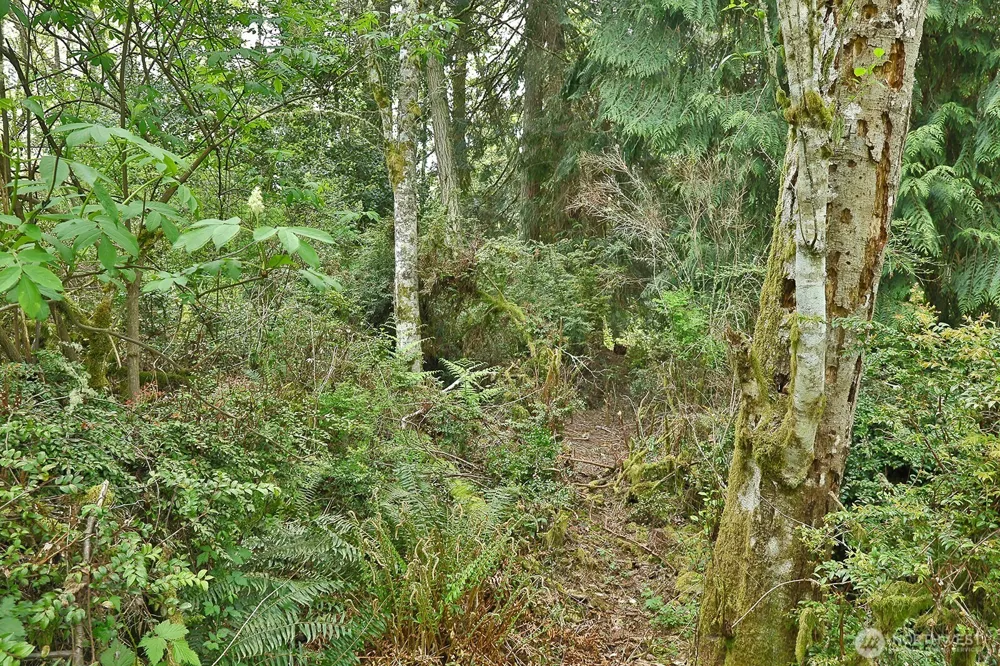 0 XXX Goss Lake Road Langley, WA 98260