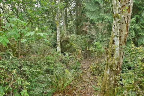 0 XXX Goss Lake Road