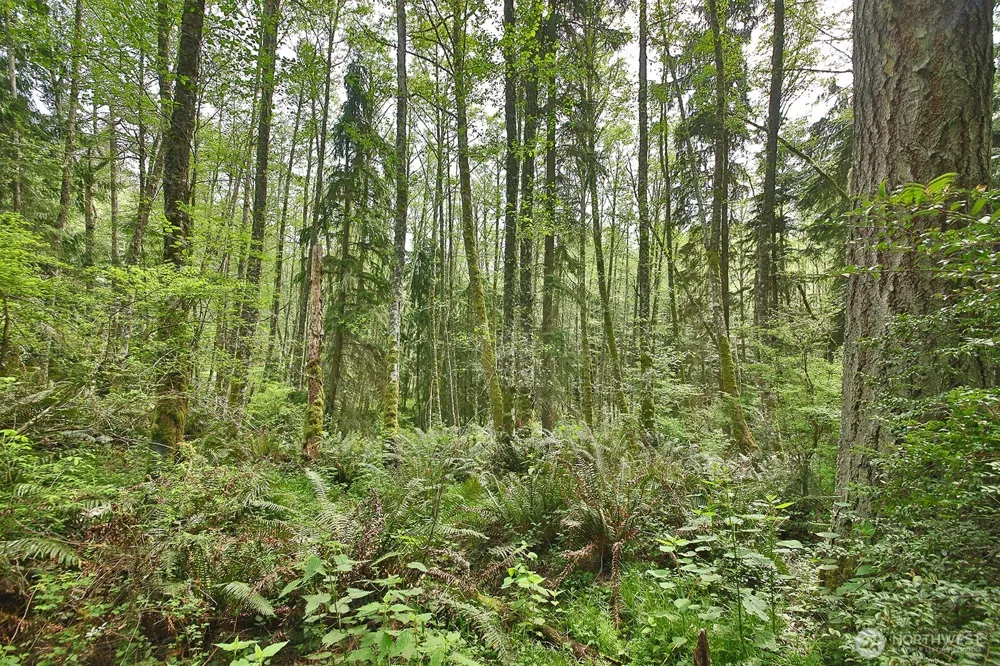 0 XXX Goss Lake Road Langley, WA 98260