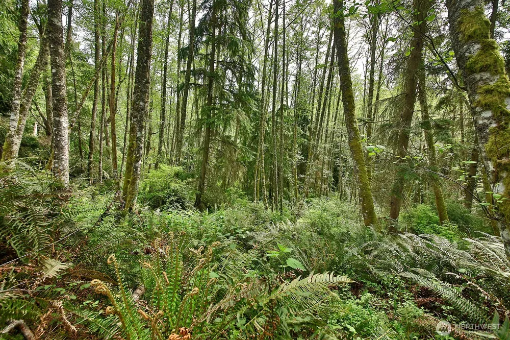 0 XXX Goss Lake Road Langley, WA 98260