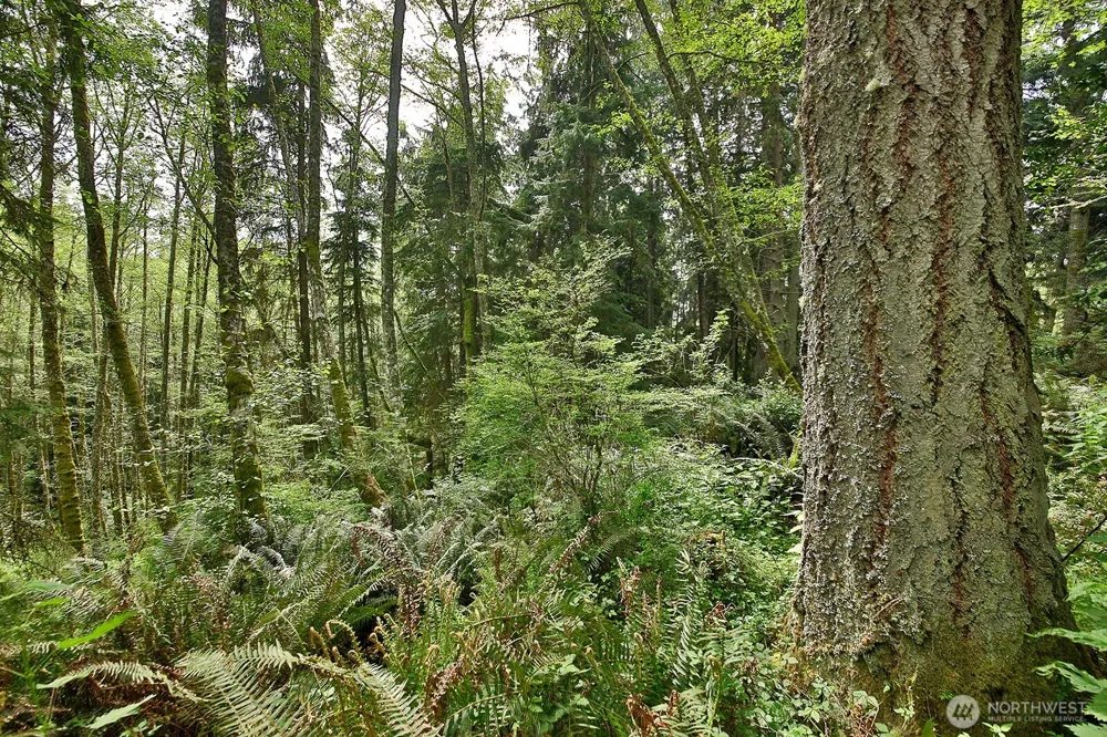 0 XXX Goss Lake Road Langley, WA 98260