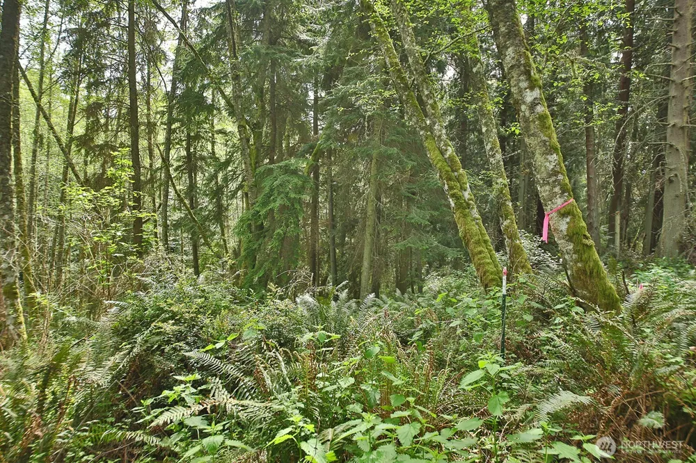 0 XXX Goss Lake Road Langley, WA 98260