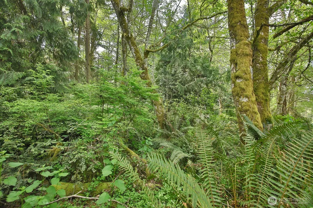 0 XXX Goss Lake Road Langley, WA 98260