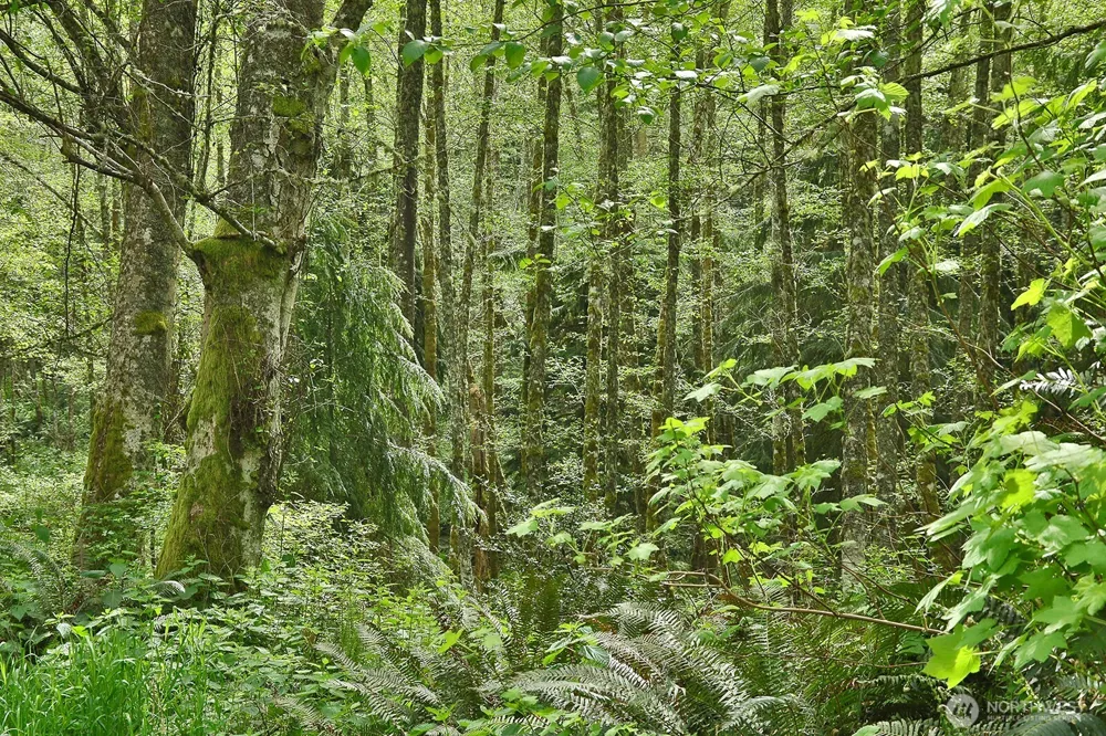 0 XXX Goss Lake Road Langley, WA 98260