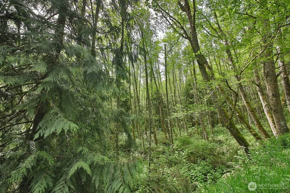 0 XXX Goss Lake Road Langley, WA 98260