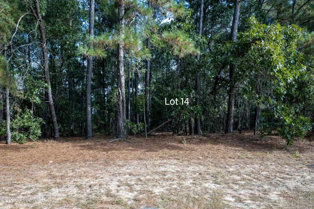 14 Old Tom Morris Road Garland, NC 28441