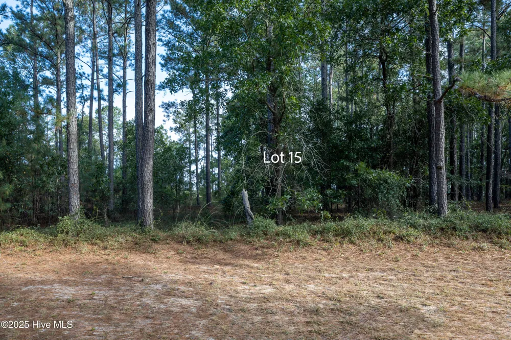 15 Old Tom Morris Road Garland, NC 28441