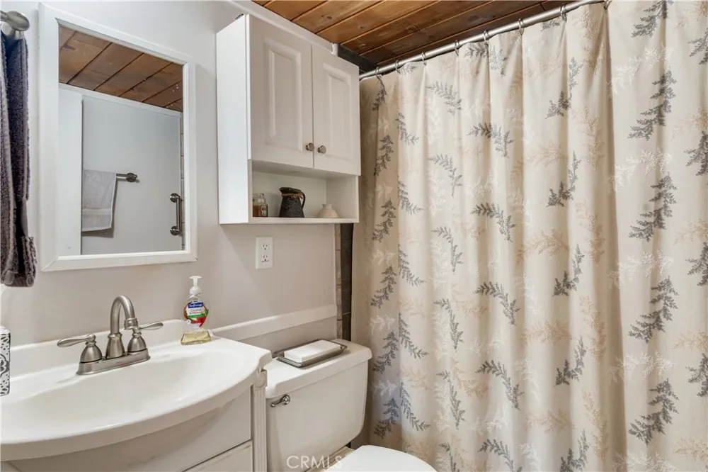 37667 Live Oak Street Angelus Oaks, CA 92305